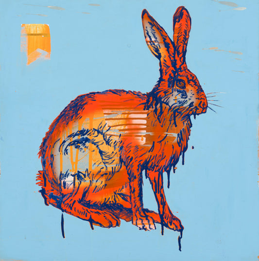 Come Hare Bunny
